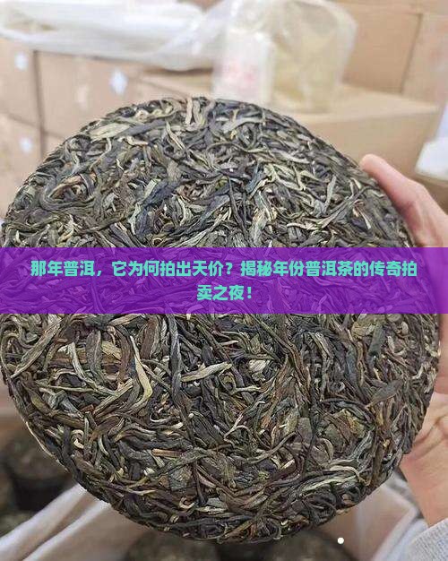 年份普洱茶拍卖