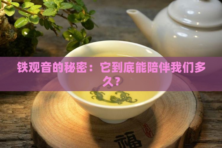 铁观音属于什么茶保质期是多久