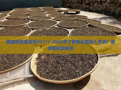 葳盛茶业普洱茶2011