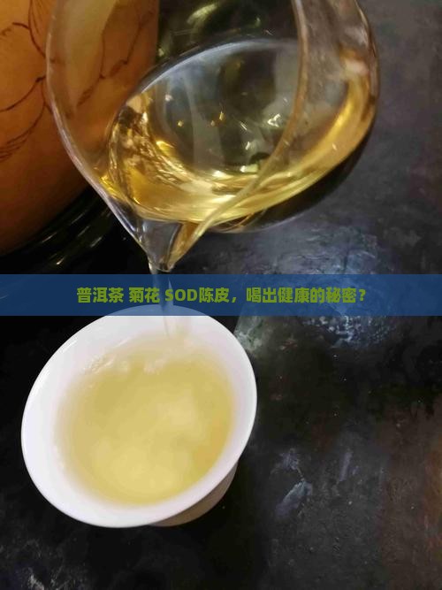普洱茶菊花陈皮功效与作用