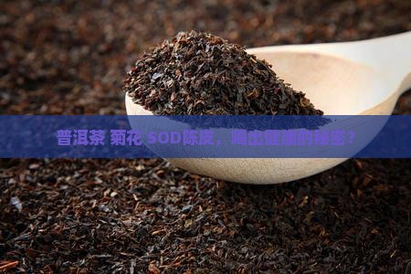 普洱茶菊花陈皮功效与作用