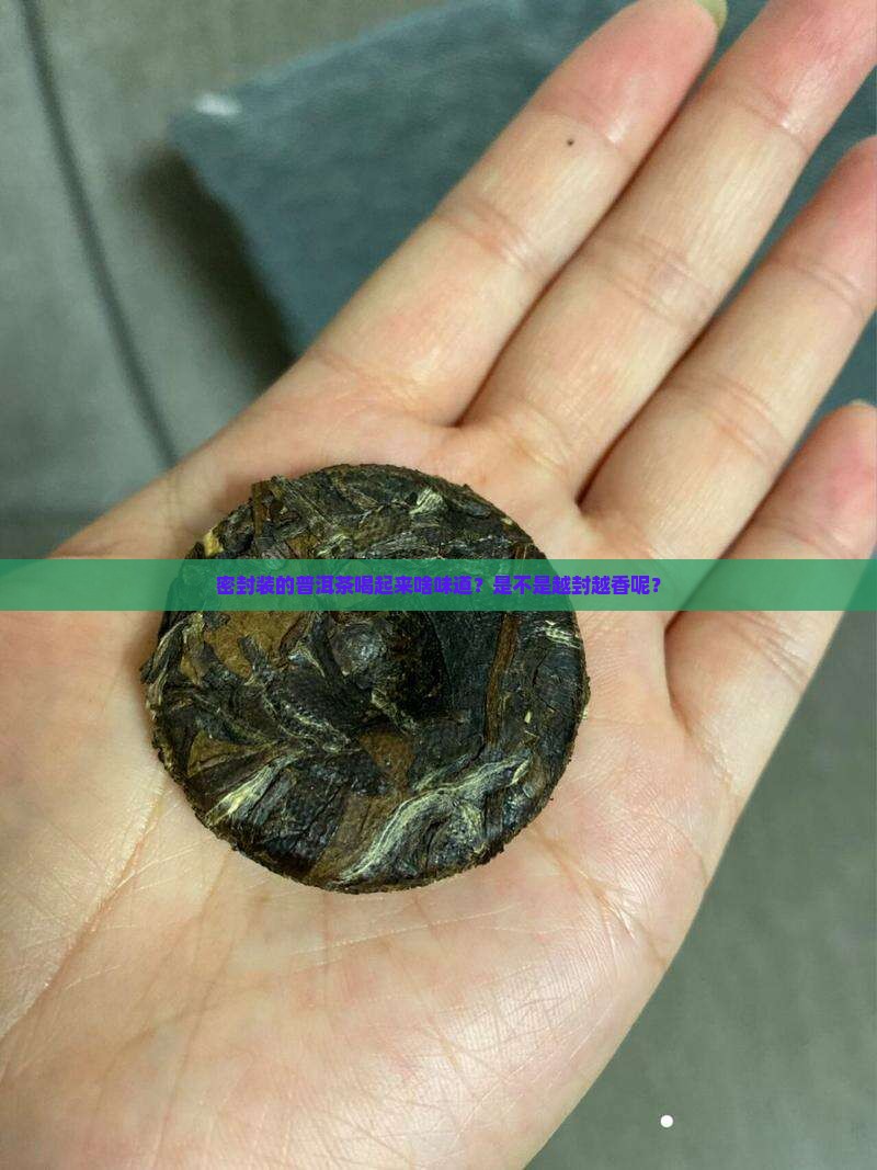 密封装普洱茶好不好喝