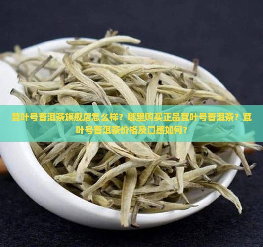 茸叶号普洱茶旗舰店