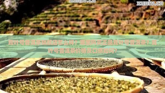 茸叶号普洱茶旗舰店
