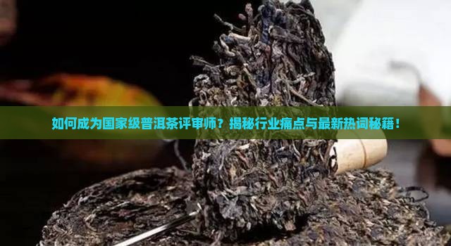 国家级普洱茶评审师