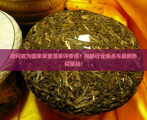 国家级普洱茶评审师