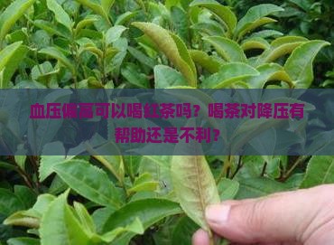 血压偏高可以喝红茶吗