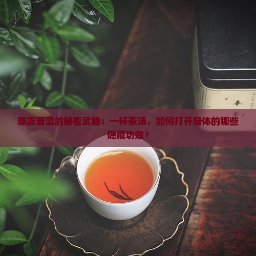 陈皮泡熟普洱茶的功效与作用