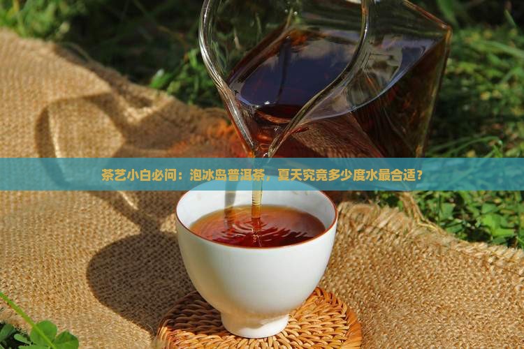 冰岛普洱茶温度多少合适