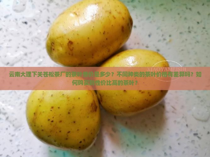 云南大理下关苍松茶厂售价
