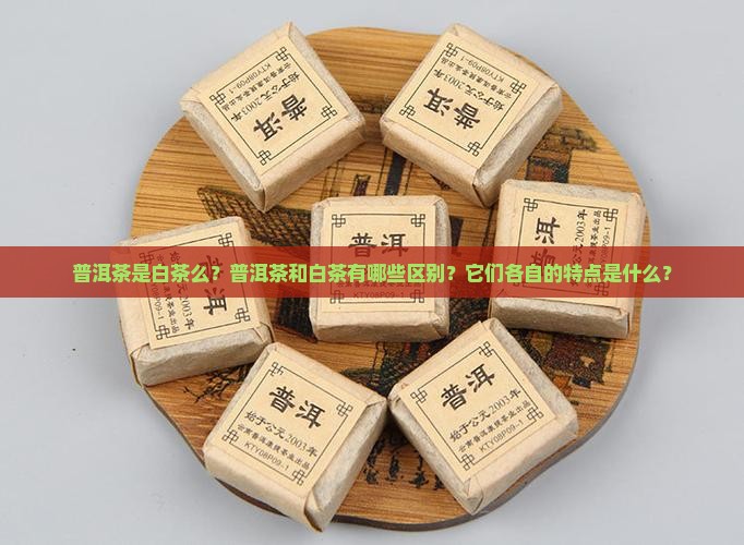 普洱茶是白茶么