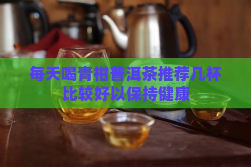 每天喝青柑普洱茶推荐几杯