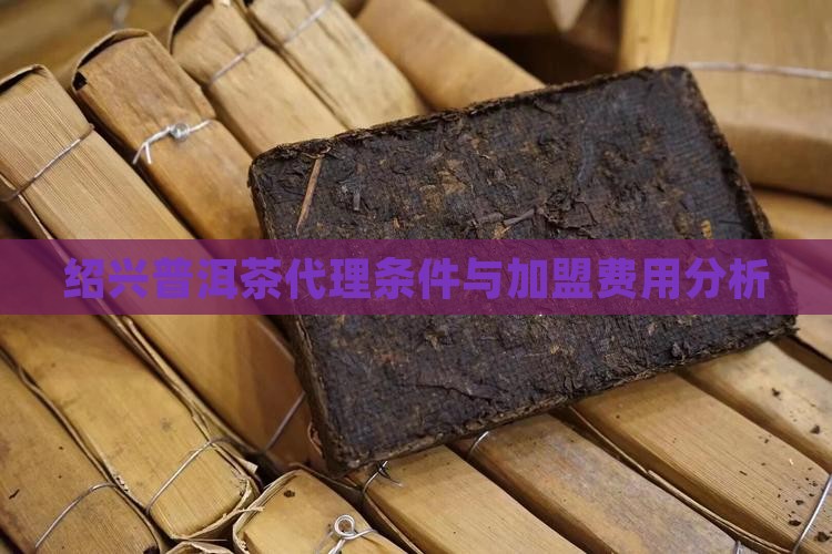 绍兴普洱茶代理条件怎么样