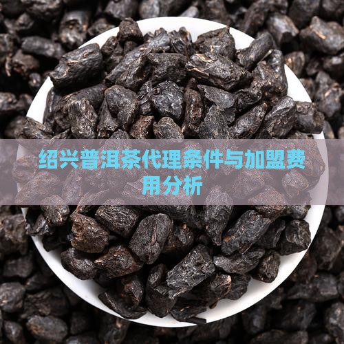 绍兴普洱茶代理条件怎么样
