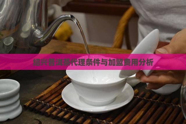 绍兴普洱茶代理条件怎么样