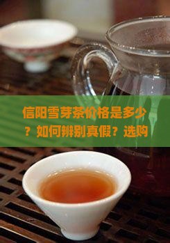 信阳雪芽茶价格