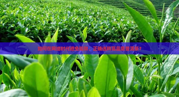 网上普洱茶的选购 网上普洱茶的选购