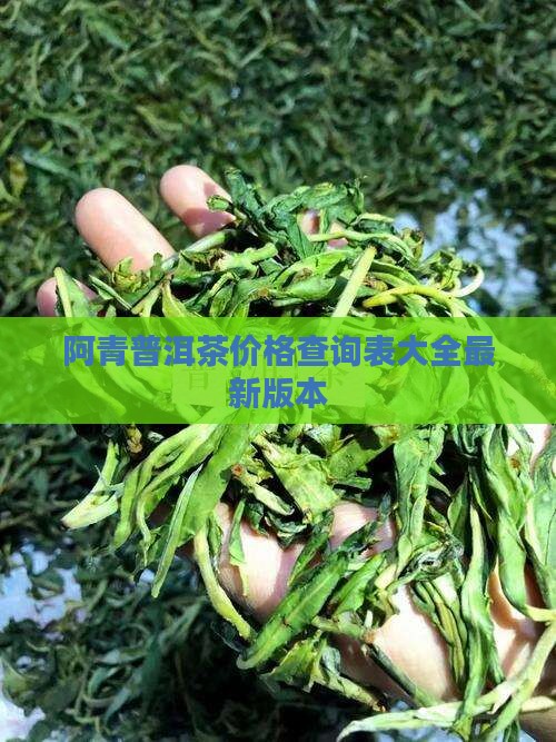 阿青普洱茶价格查询表大全