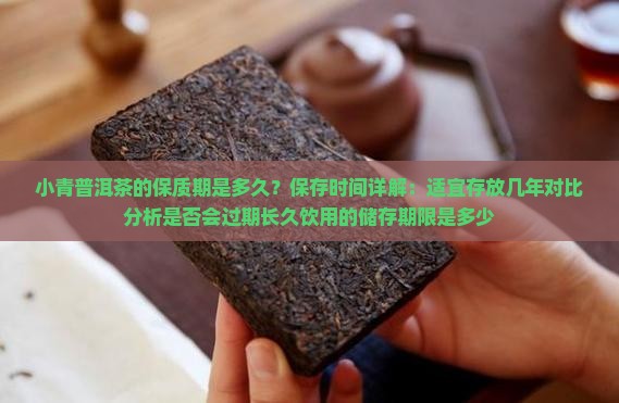 小青桔普洱茶保质期是多久
