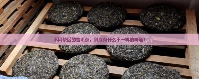 各种茶区普洱茶特点