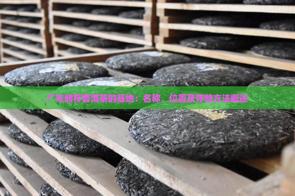 广东储存普洱茶的基地