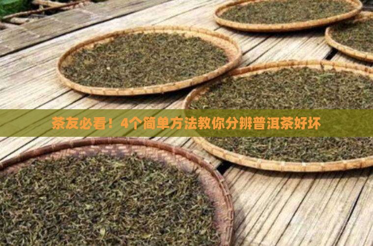 怎么区分普洱茶的好坏