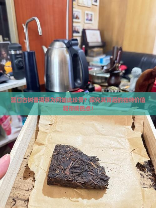 营口古树普洱茶