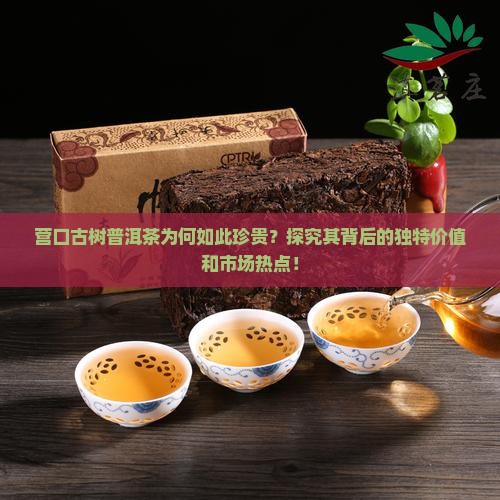 营口古树普洱茶