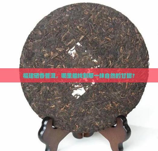 福建富硒普洱茶哪里买