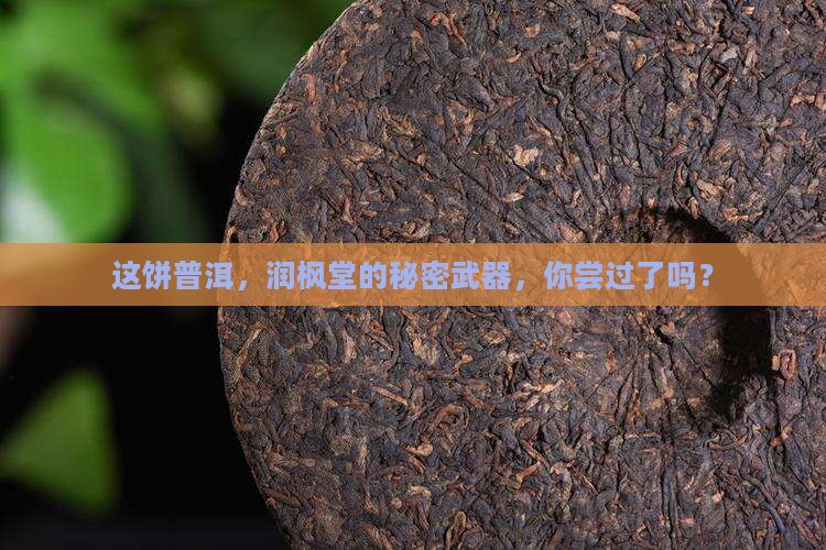 润枫堂普洱茶饼