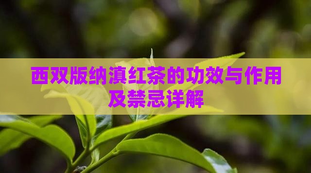 西双版纳滇红茶的功效与作用