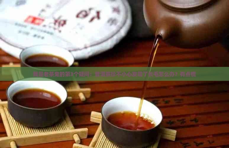 普洱茶珍发霉是什么样子