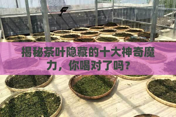 茶叶的十大功效