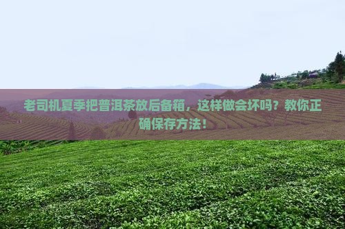 普洱茶夏季放车内有影响吗