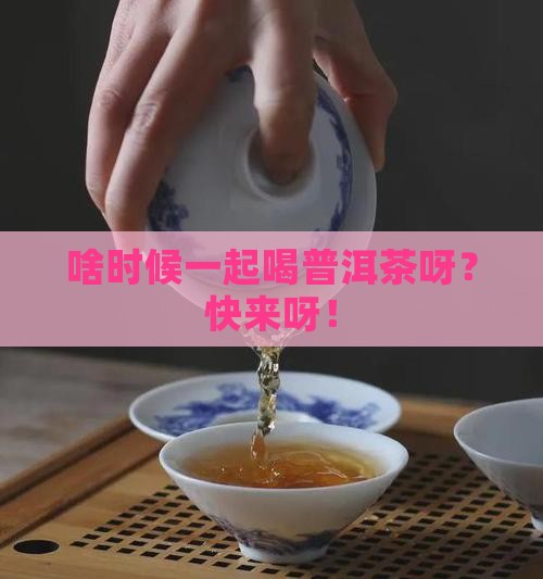 每天什么时候来喝普洱茶