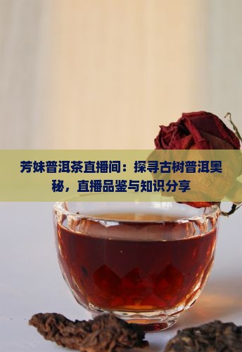 芳妹普洱茶直播间