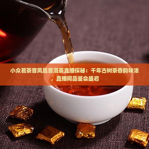 小众茗茶普凤凰普洱茶直播