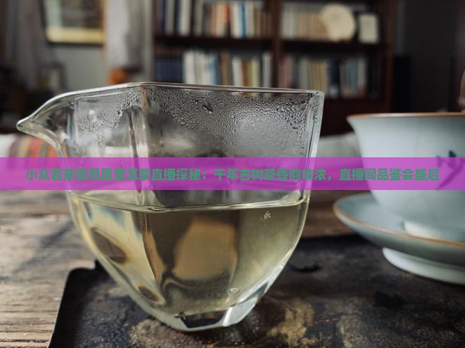 小众茗茶普凤凰普洱茶直播