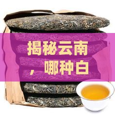 云南的白茶有几种