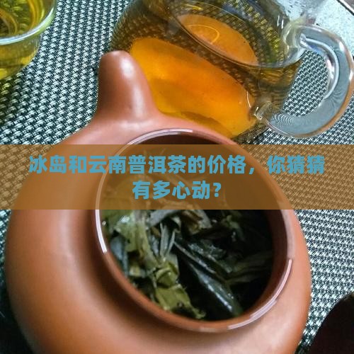 冰岛云南普洱茶价格