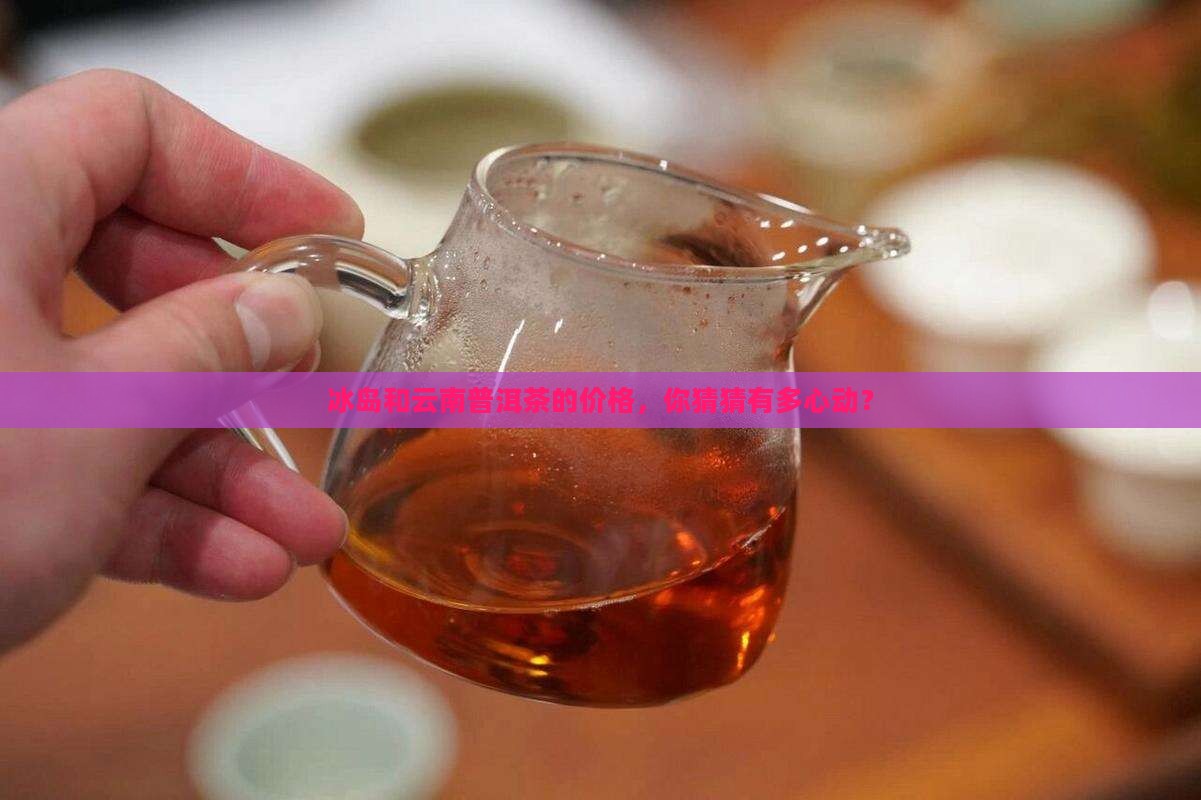 冰岛云南普洱茶价格