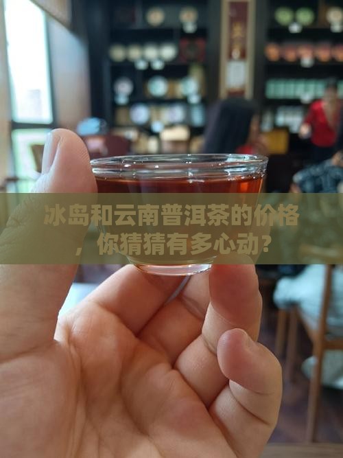 冰岛云南普洱茶价格