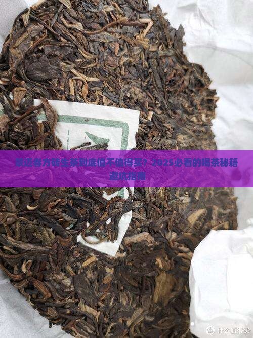 景迈春方砖生茶