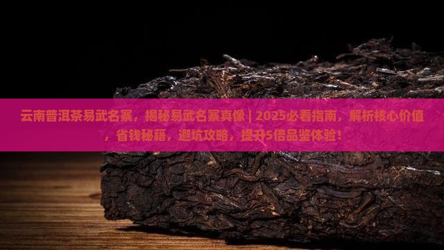 云南普洱茶易武名寨