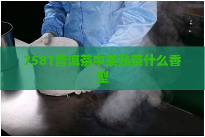 7581普洱茶什么香型
