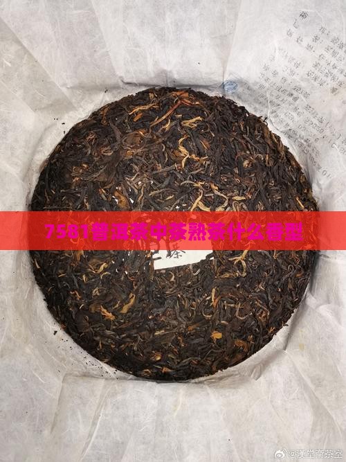 7581普洱茶什么香型