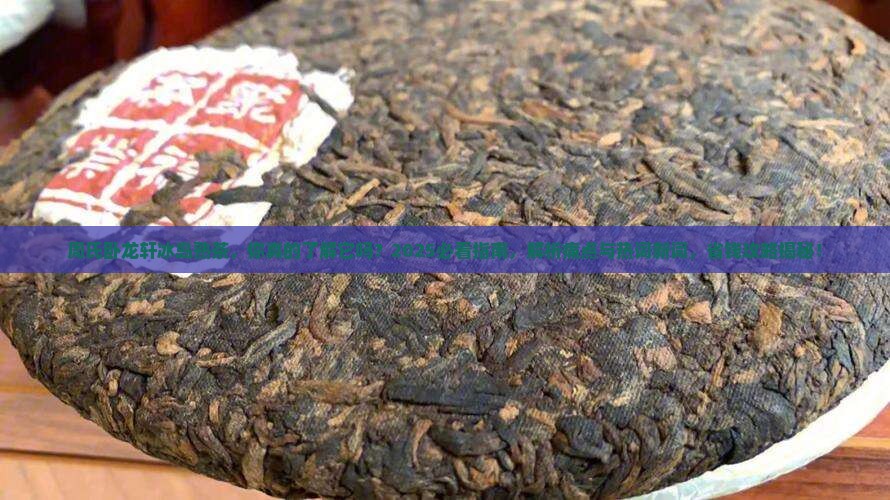 周氏卧龙轩冰岛熟茶