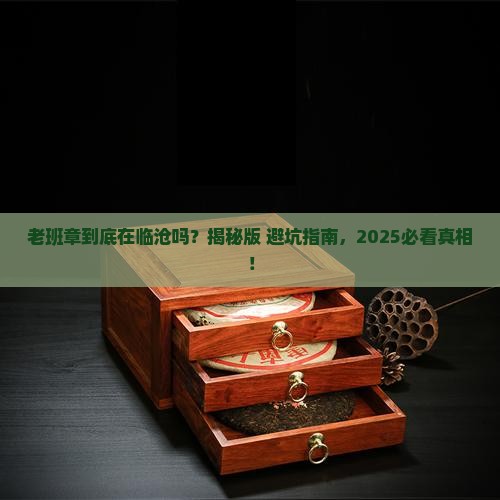 老班章在临沧地区吗
