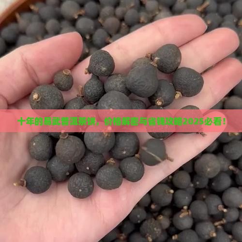 十年的易武普洱茶饼多少钱