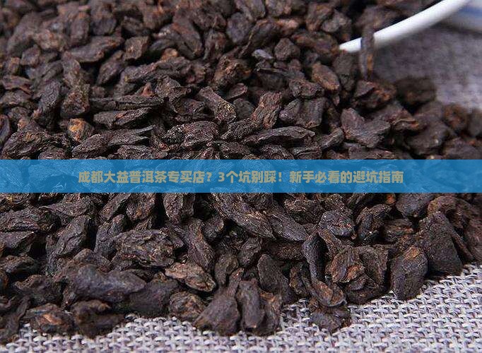 成都大益普洱茶专买店
